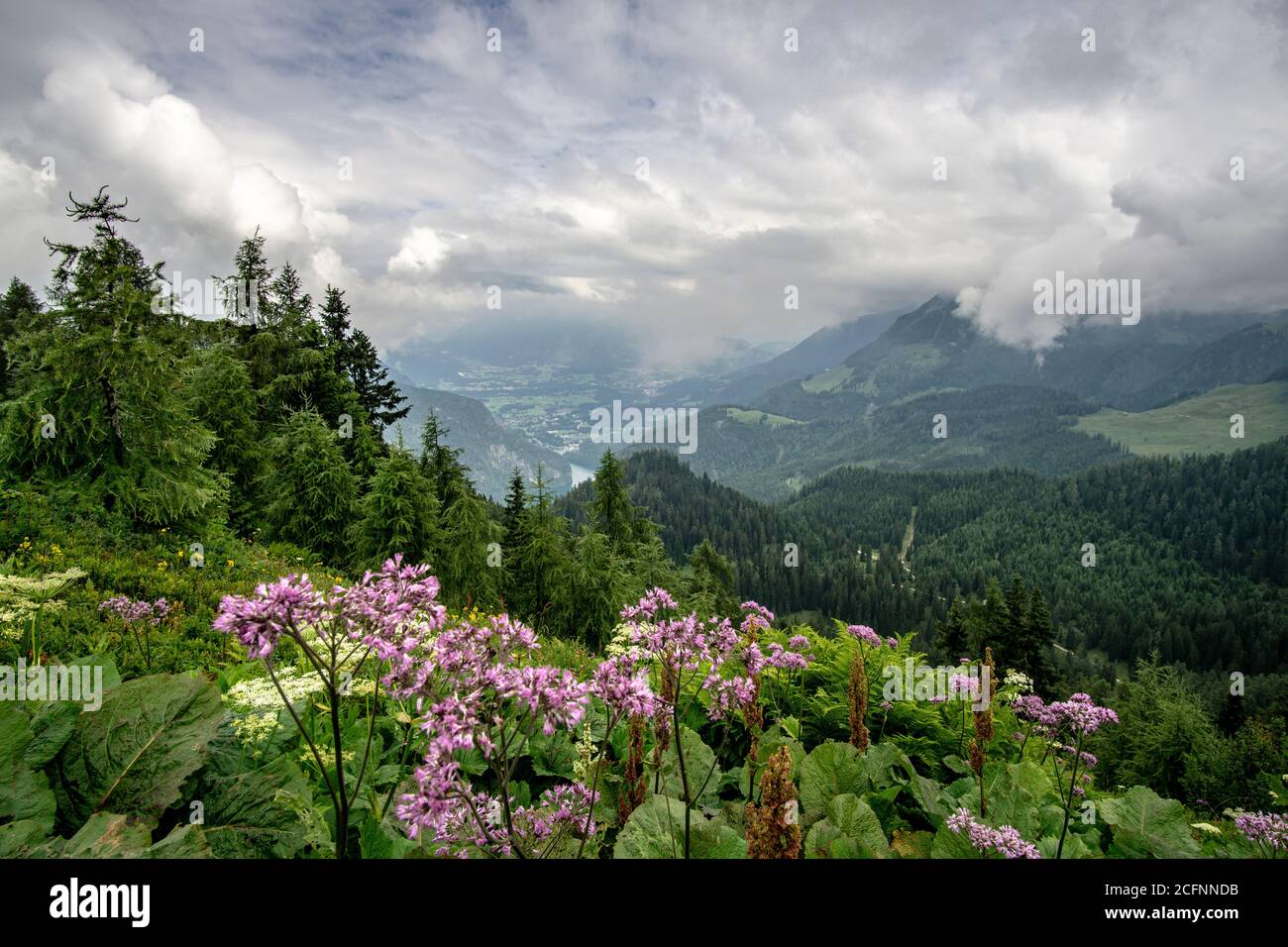 View on idyllic Konigssee from Feuerpalfen , Bavaria, Germany Stock Photo
