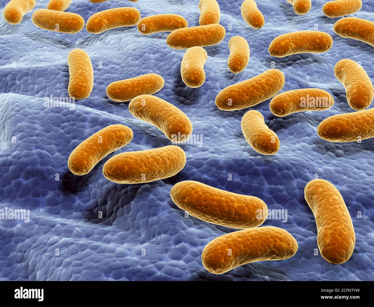 Viruses under microscope. Fast multiplication of bacteria. Infection and microbe.3d render Stock Photo