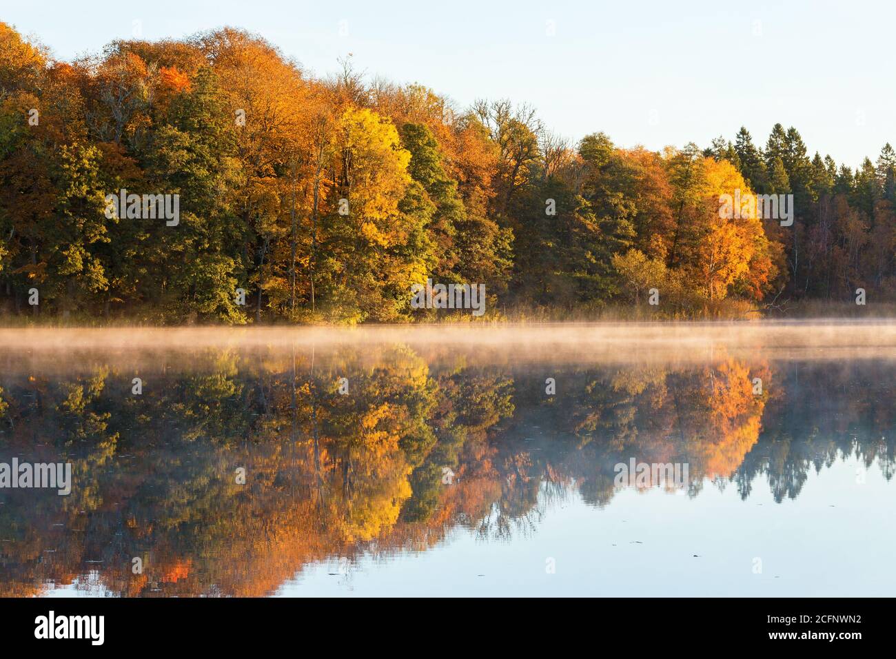 Lake at the forest in autumn colors Stock Photo - Alamy