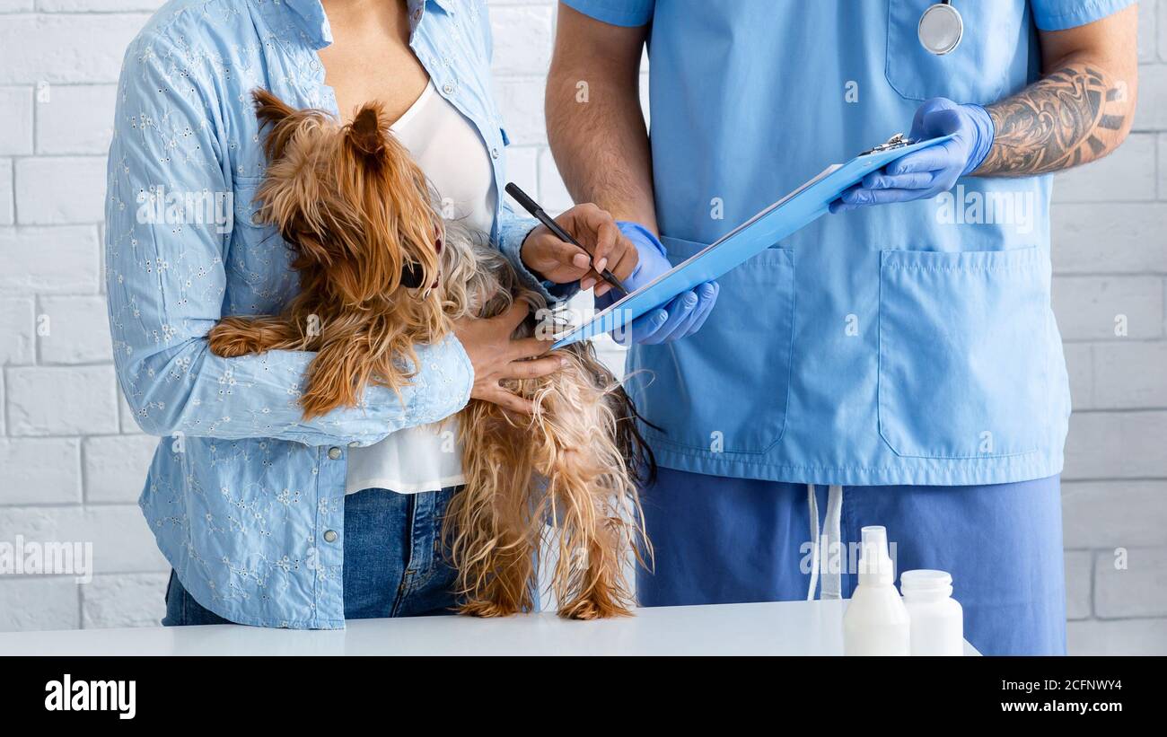 Closeup view of client with cute dog signing pet insurance policy at veterinarian clinic Stock Photo