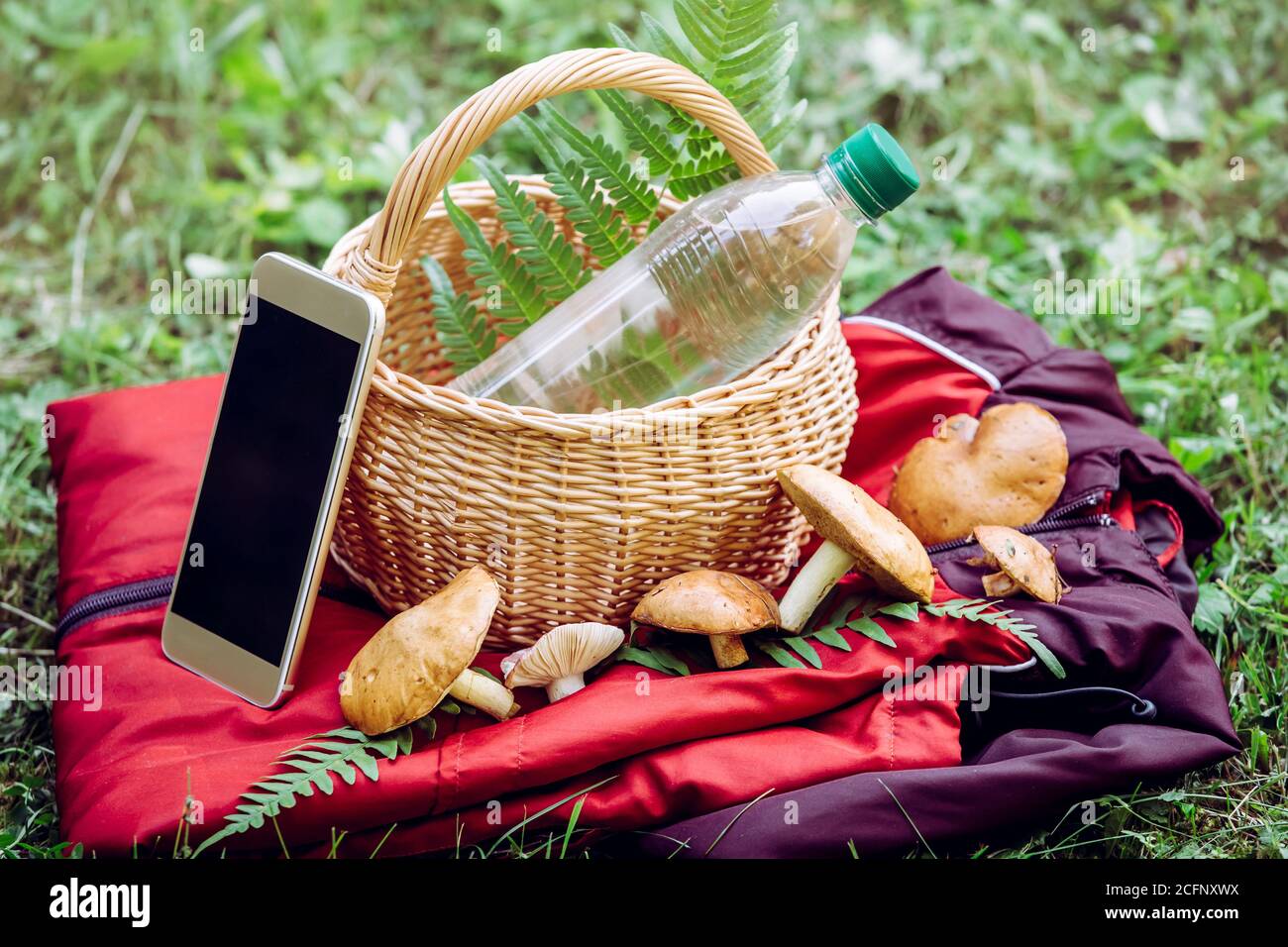 When going to the mushroom picking, bring a charged phone, a water bottle and a warm colored jacket in case of getting lost in the forest. Survival ki Stock Photo