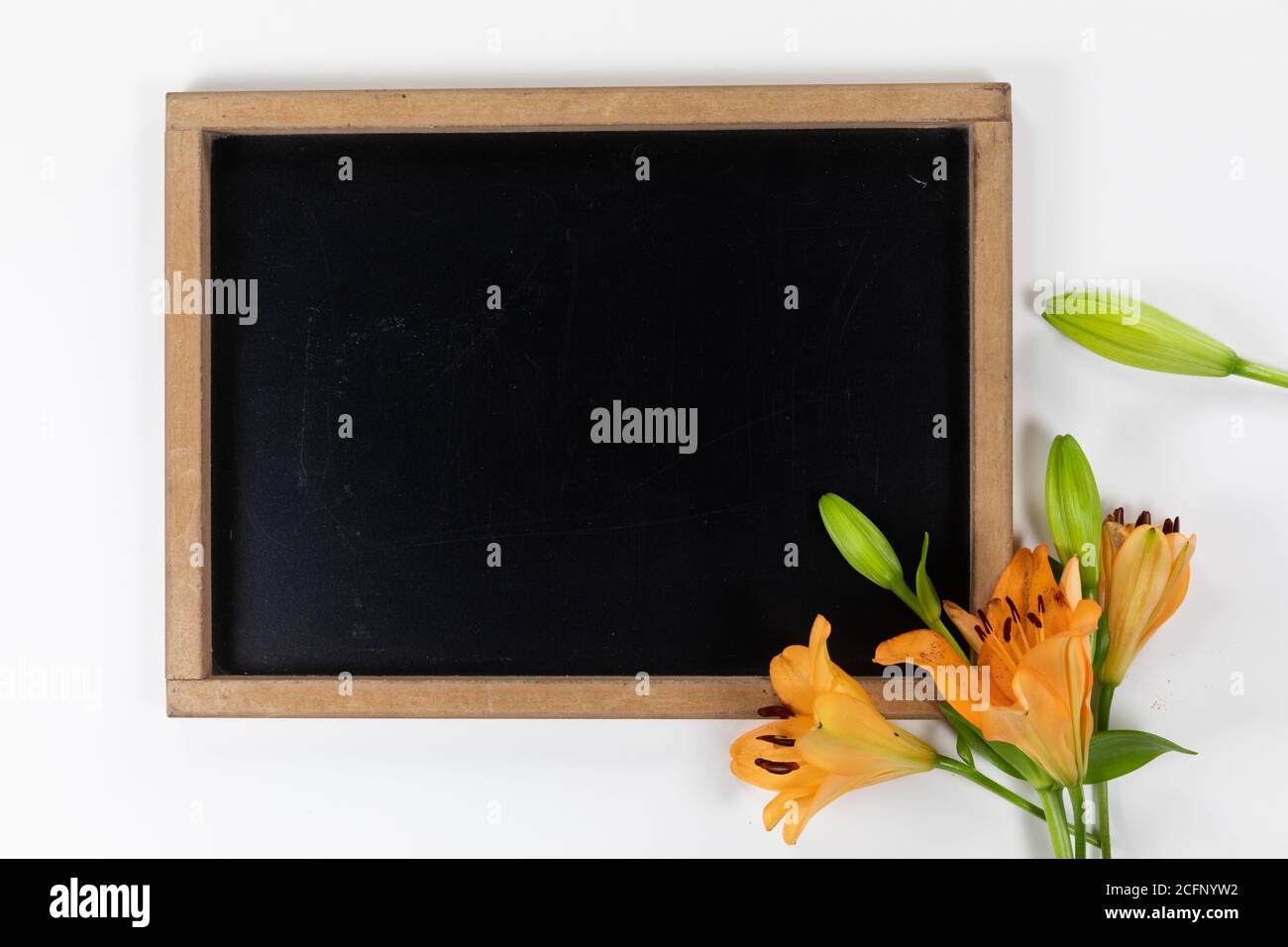 View of a black board with orange flowers on white background Stock Photo