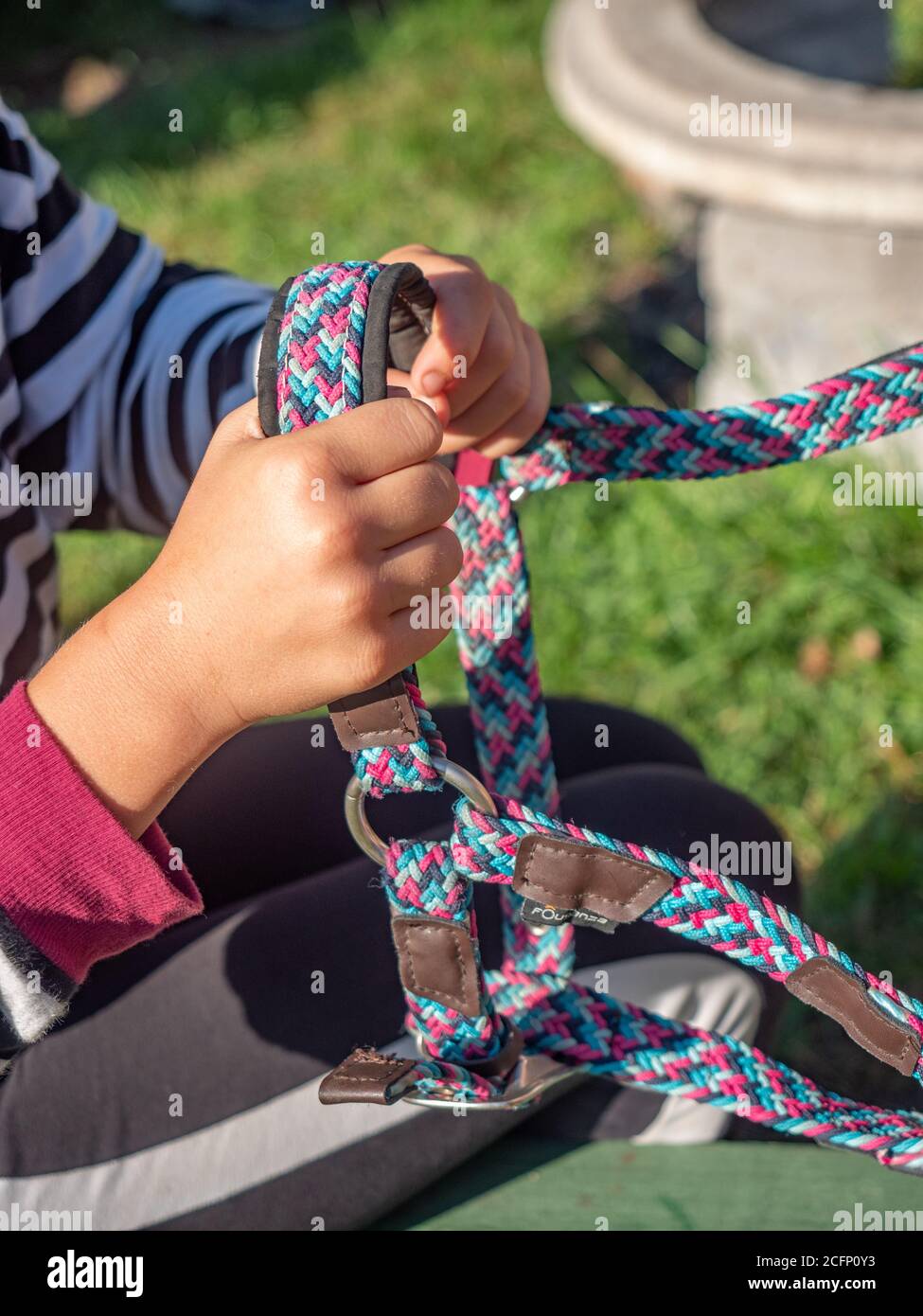 The time competition for the connection of a horse halter. Small horse