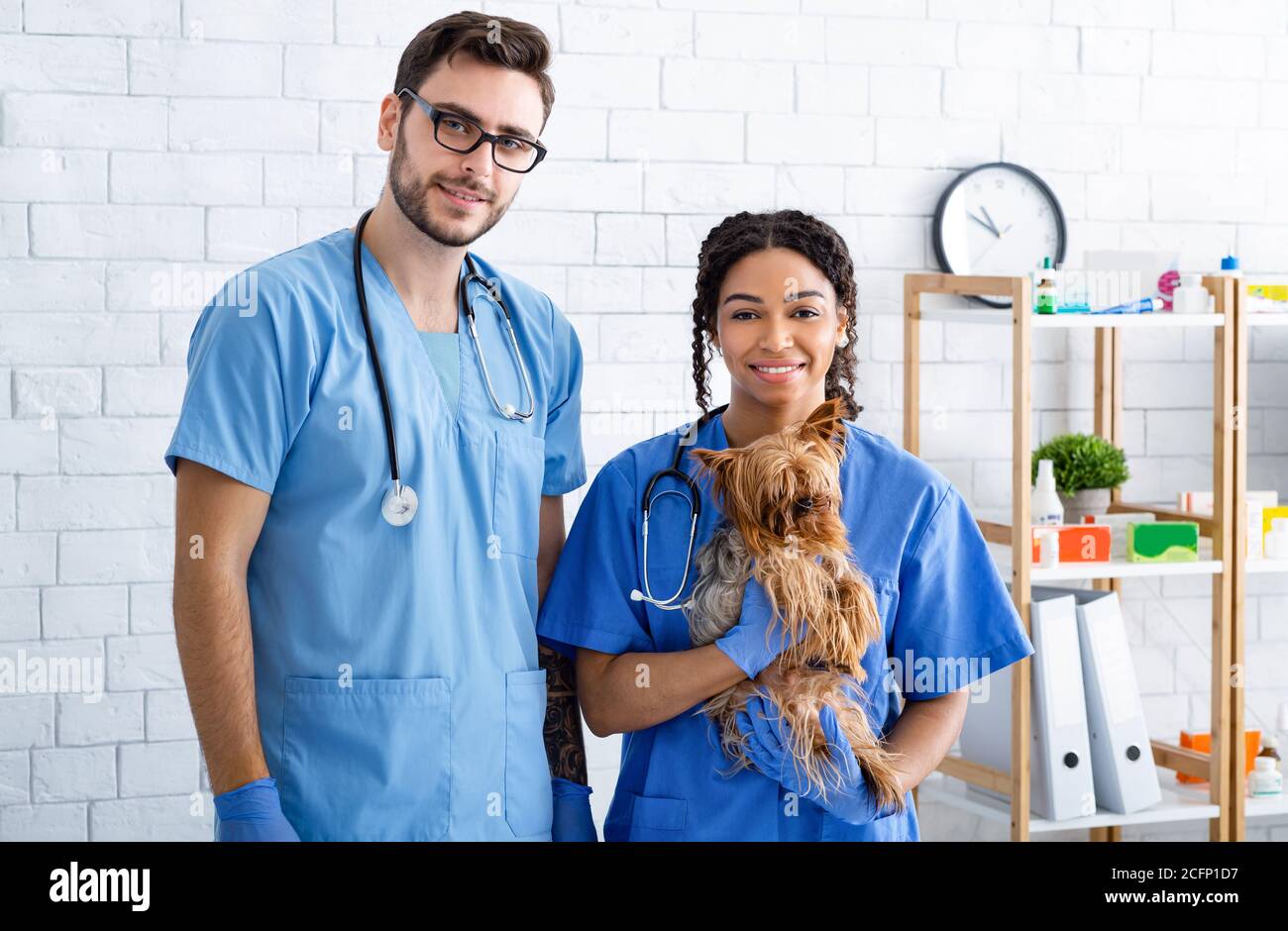 Portrait of happy veterinarian doctors with little dog at animal clinic Stock Photo