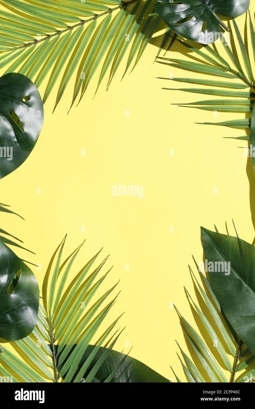 Creative layout from tropical leaves and palms on bright yellow ...