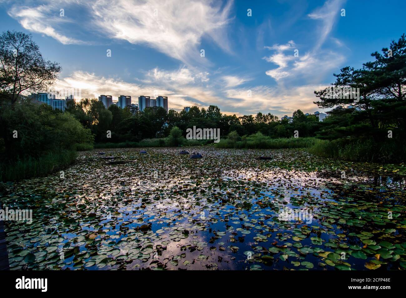 Beautiful lake scenery in the evening from Ilsan Lake Park in Goyang, South Korea Stock Photo