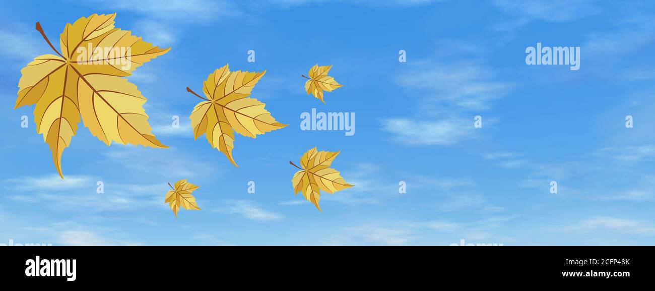 Yellow autumn leaves in the sky background - 3D render Stock Photo - Alamy