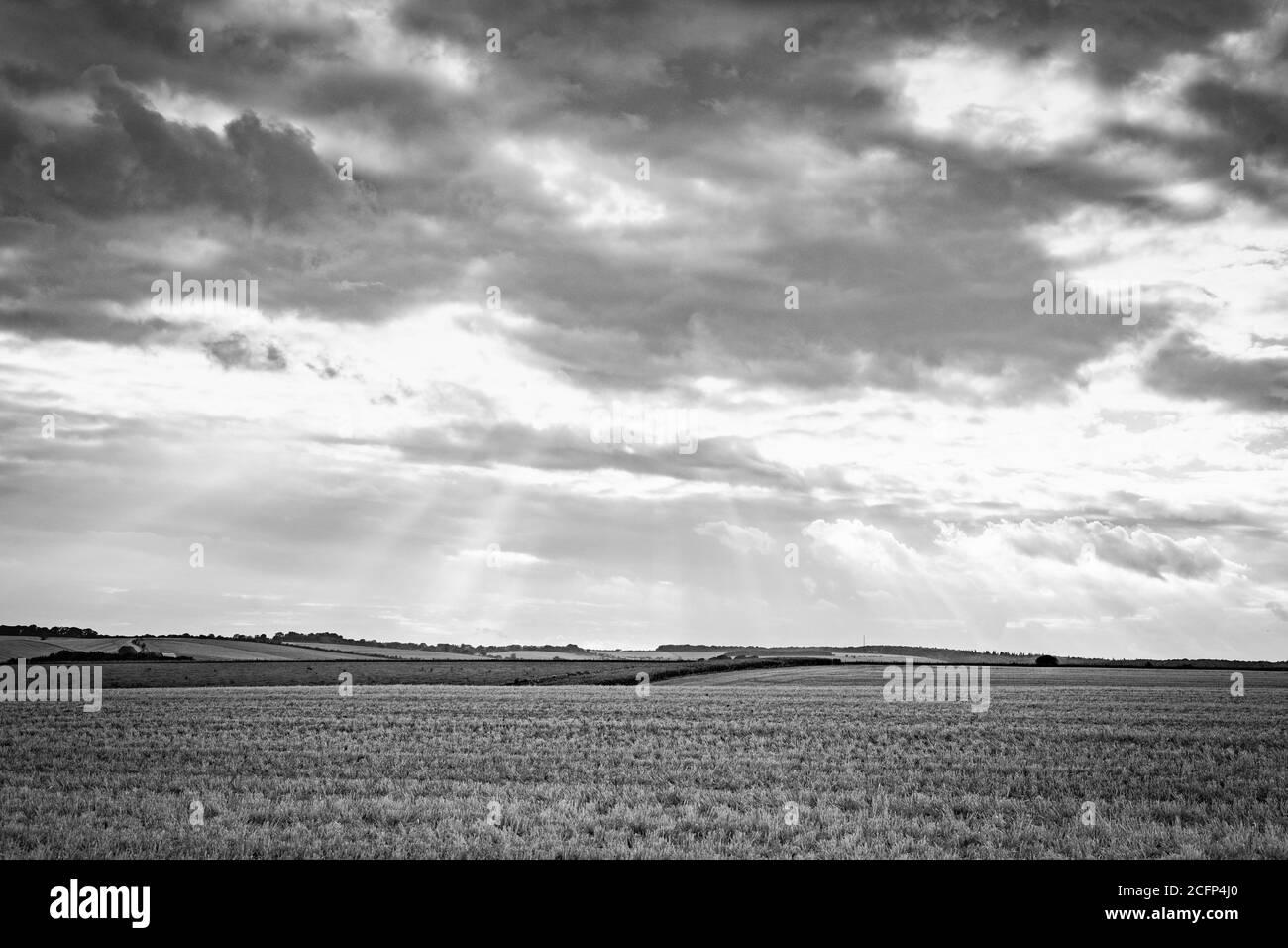 The ridgeway walk hires stock photography and images Alamy