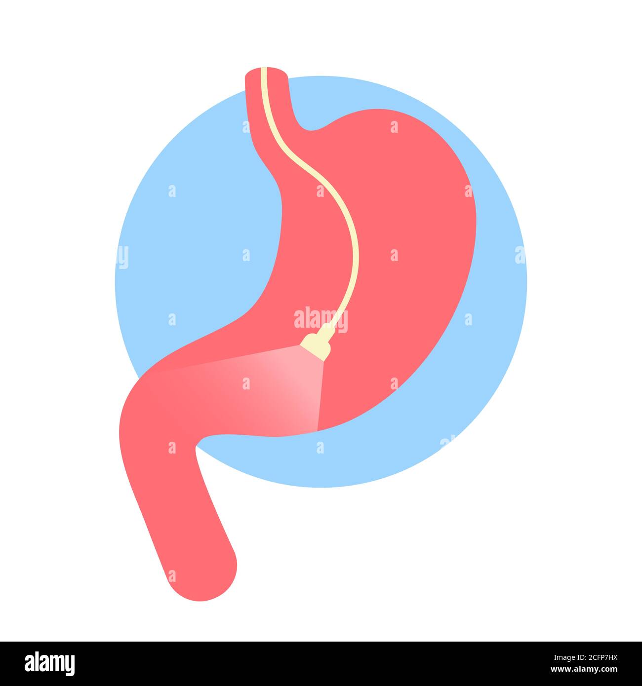 Gastroscopy icon. endoscope with light in stomach. Medical exam. inspection of stomach. digestive problems. Hose with camera. Cartoon flat Stock Vector