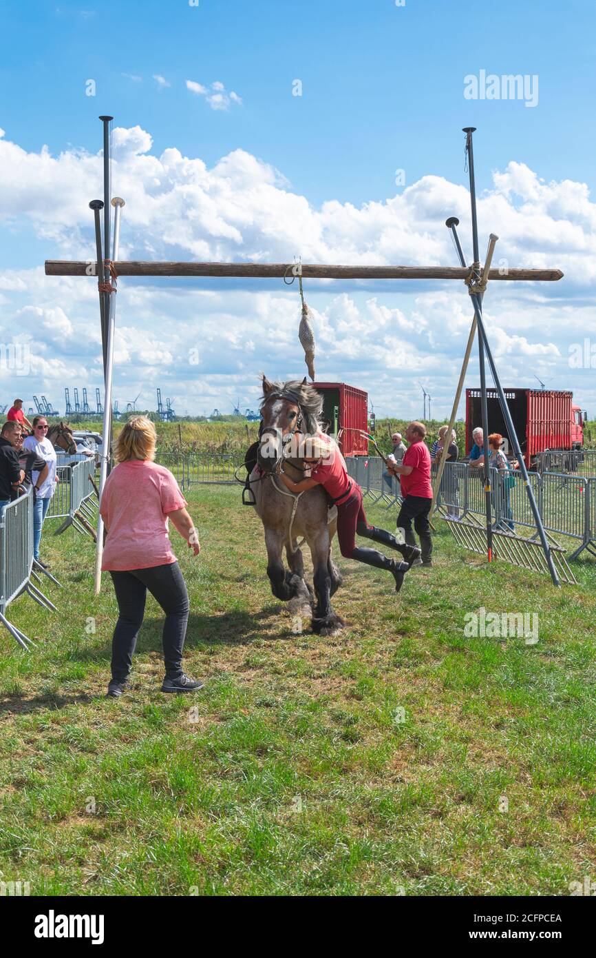 Kieldrecht, Belgium, September 1, 2019, Female rider falls from her horse and hangs from his neck Stock Photo