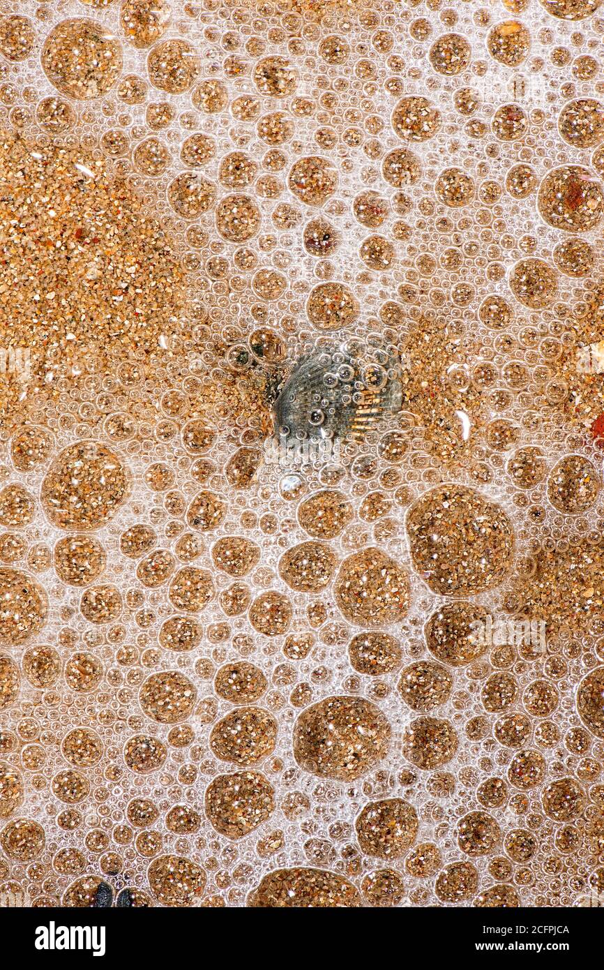 Detailed closeup macro photo of bubbles on the beach made by the