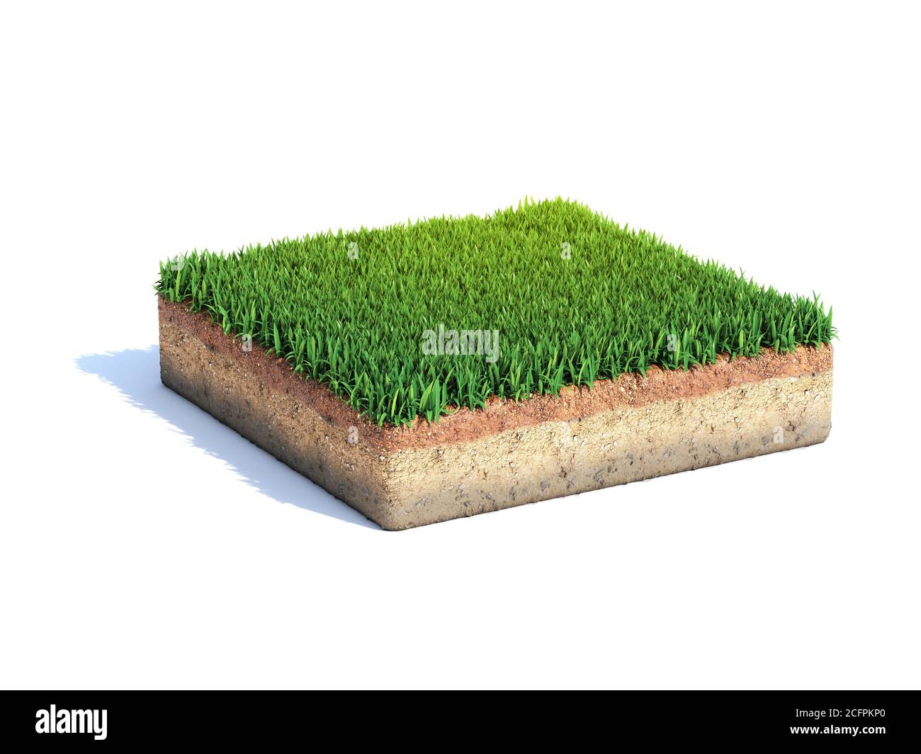 Cubic cross section of ground with grass, ecology, geology concept, soil  sample isolated on white, 3d rendering Stock Photo - Alamy
