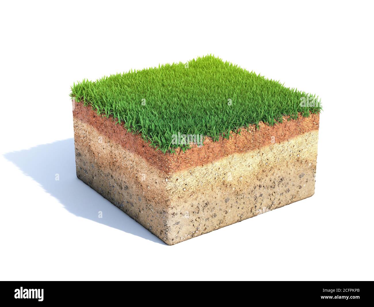 Cubic cross section of ground with grass, ecology, geology concept