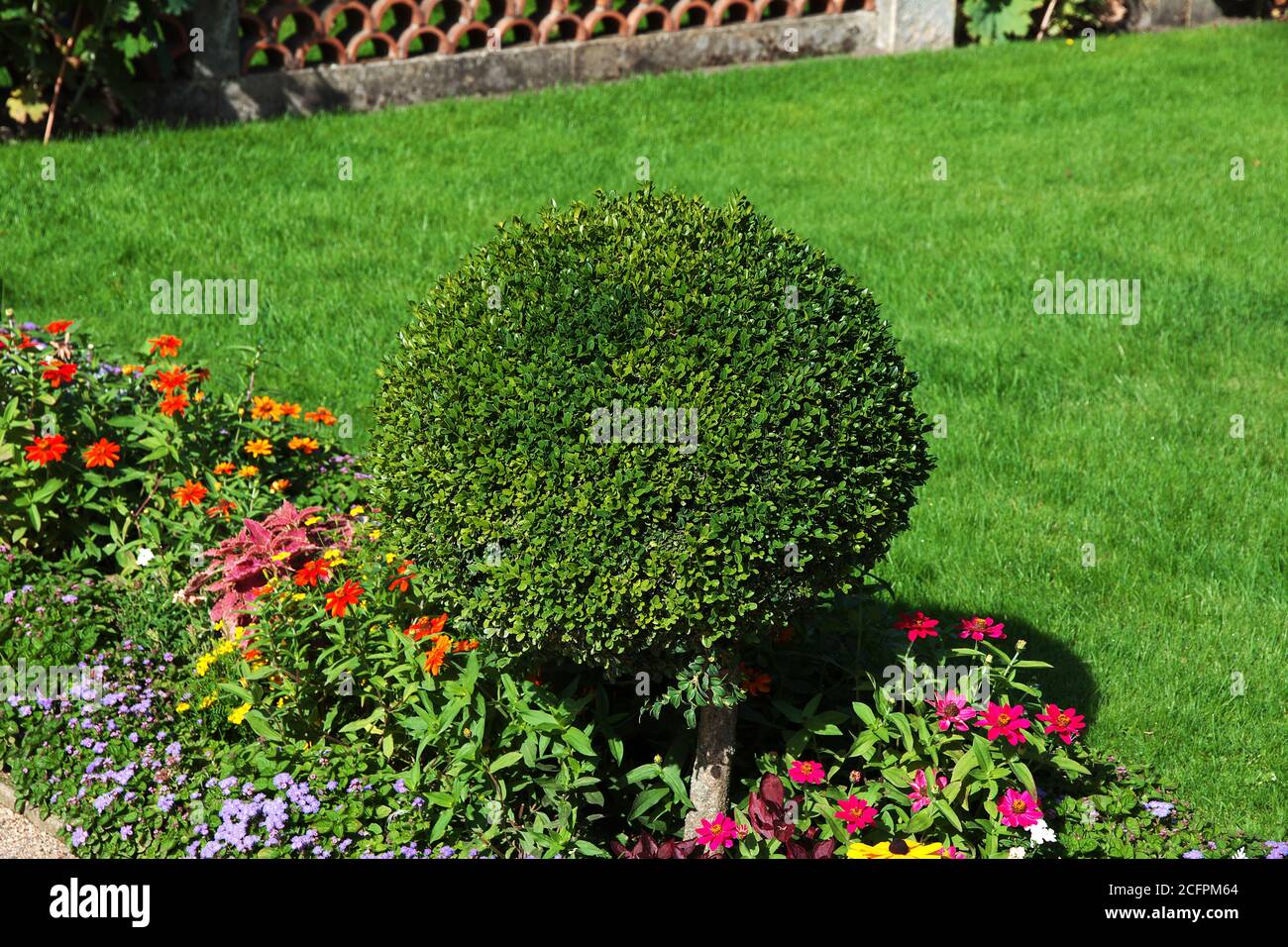 Flowers in Potsdam park, Germany Stock Photo Alamy