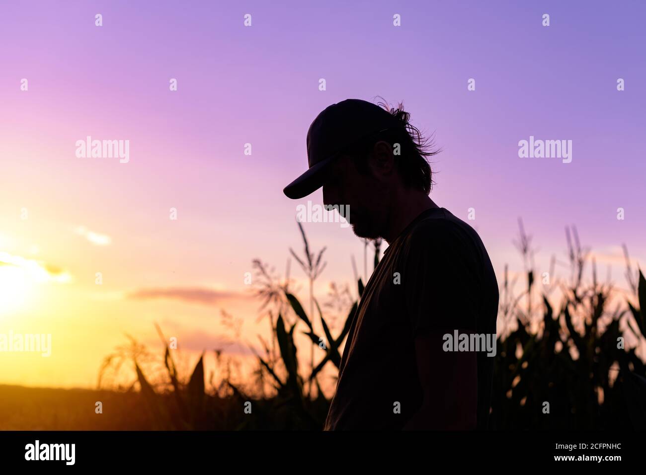 Silhouette of male farmer standing on cornfield, farm worker with baseball cap in sunset Stock Photo