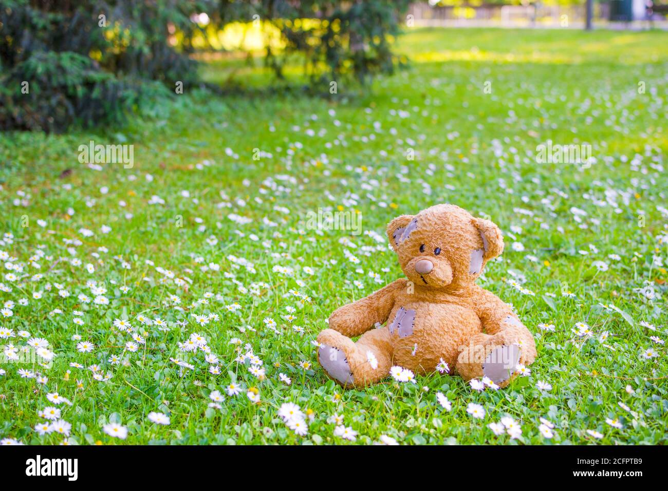 Cute little teddy bear standing on the grass in the park Stock Photo ...