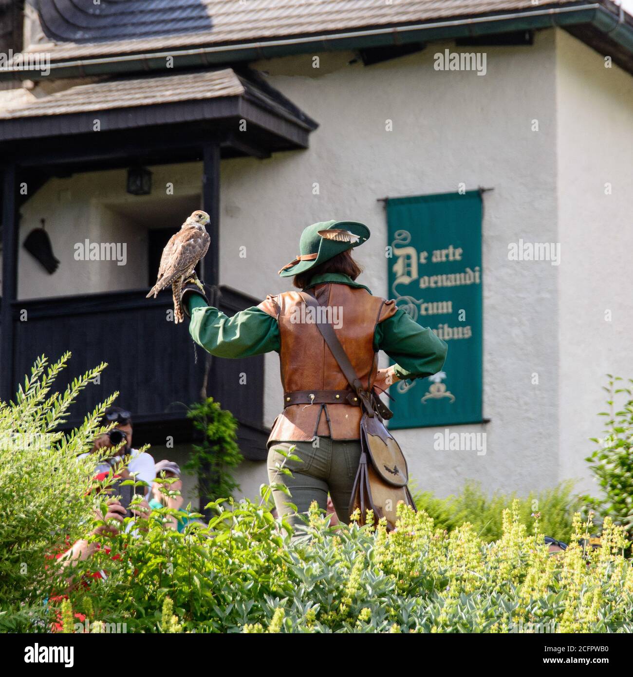 Birdshow in Hohenwerfen castle austria Stock Photo