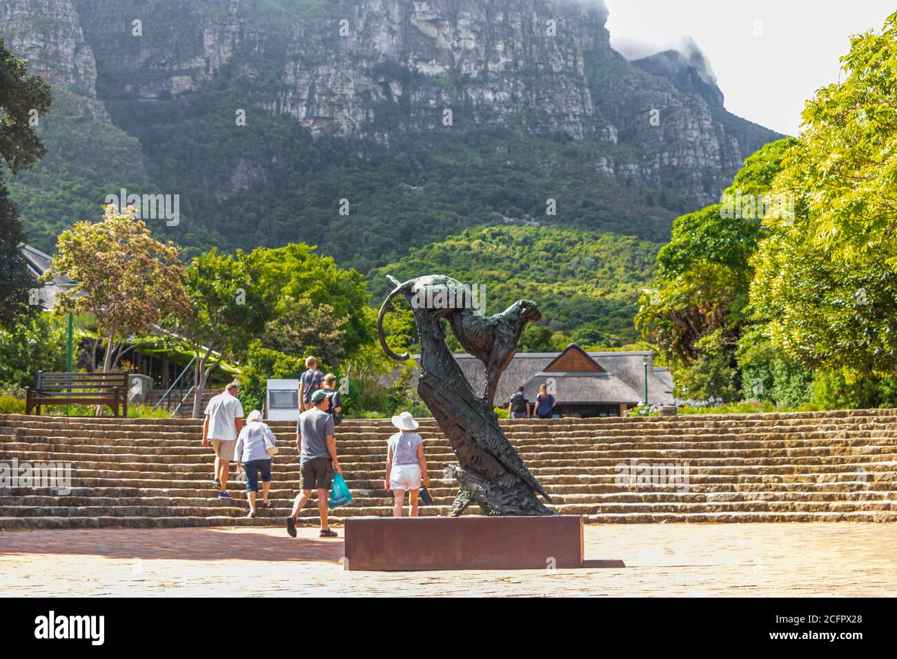 Dylan Lewis sculpture puma in the beautiful Kirstenbosch Gardens in Cape  Town Stock Photo - Alamy