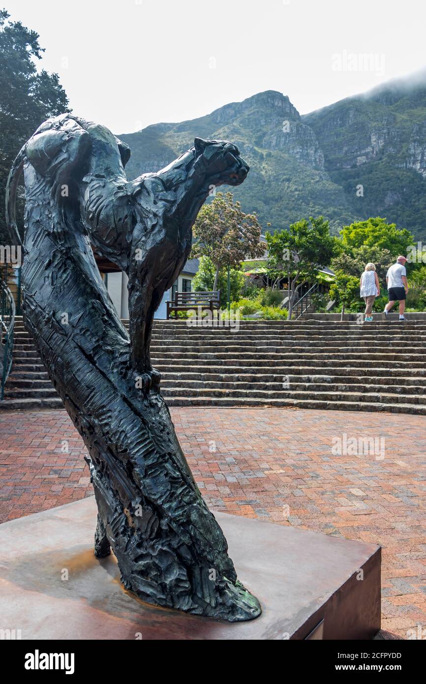 Dylan Lewis sculpture puma in the beautiful Kirstenbosch Gardens in Cape  Town Stock Photo - Alamy