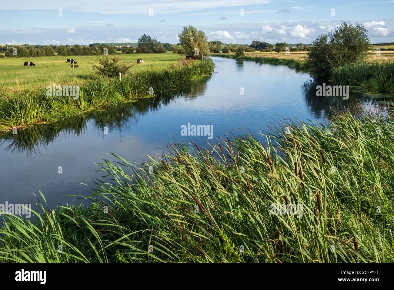 The Nene Navigation, River Nene, near Nassington, Northamptonshire Stock Photo