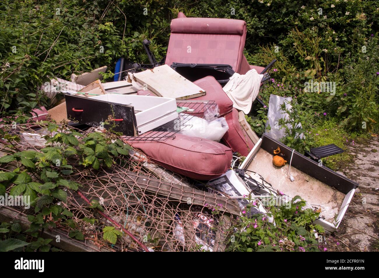 Rubbish dumped in a quiet area of countryside. This is a major problem in rural and suburban areas. Stock Photo