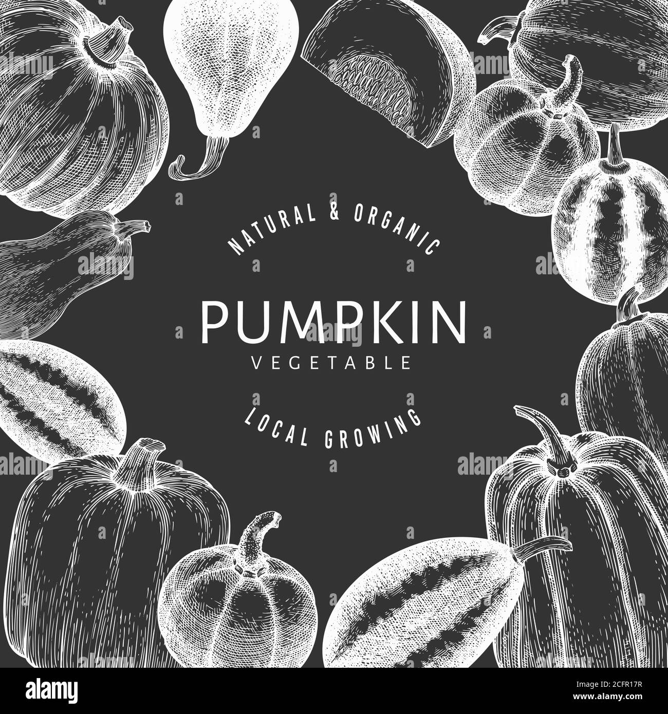 Pumpkin design template. Vector hand drawn illustrations on chalk board ...