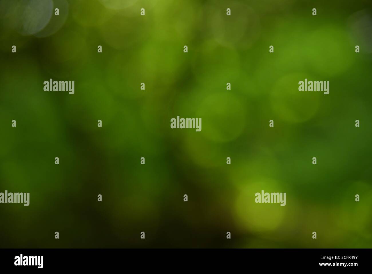 Abstract green texture hi-res stock photography and images - Alamy