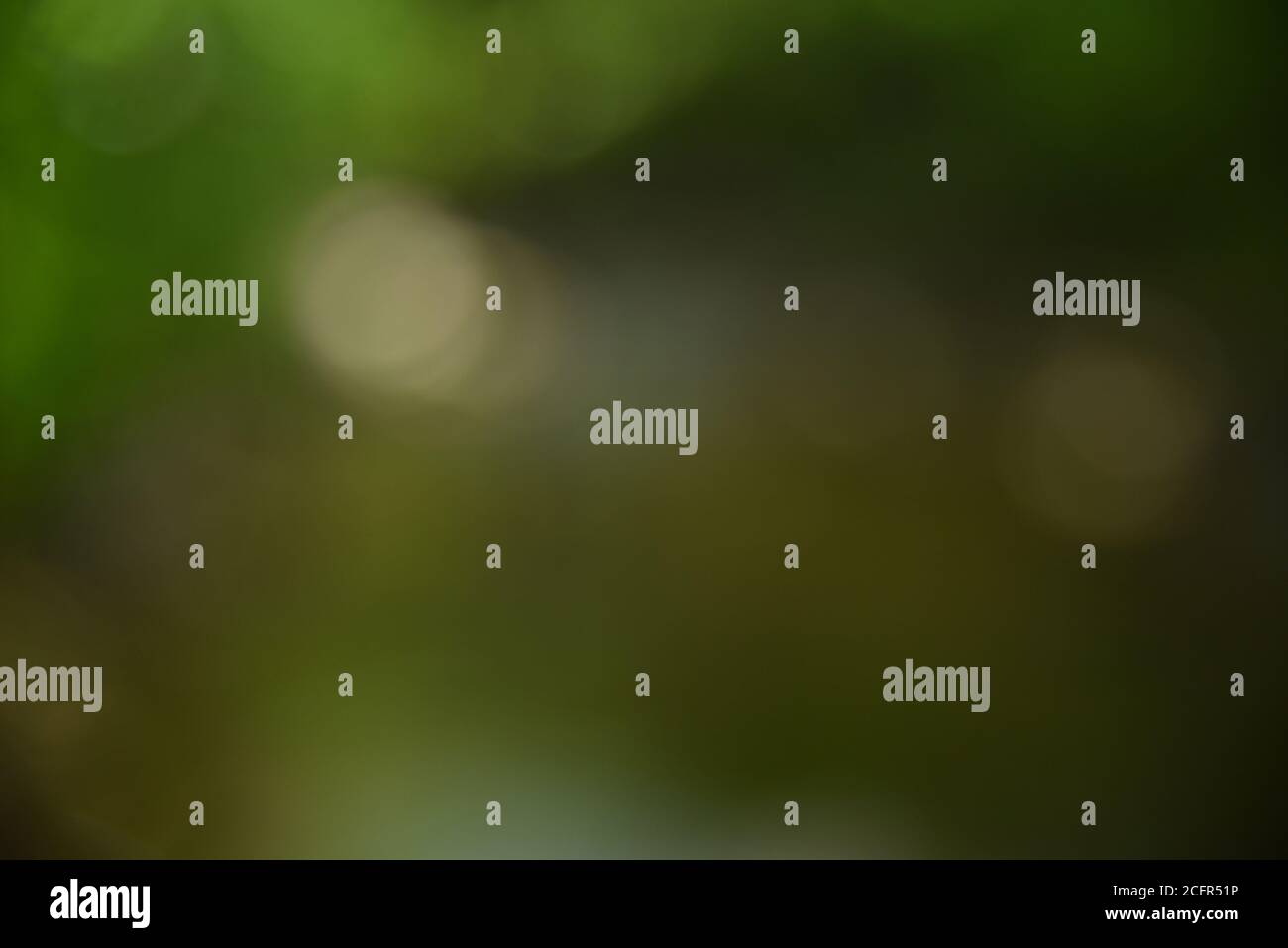 Nature green Bokeh - Abstract background Stock Photo - Alamy