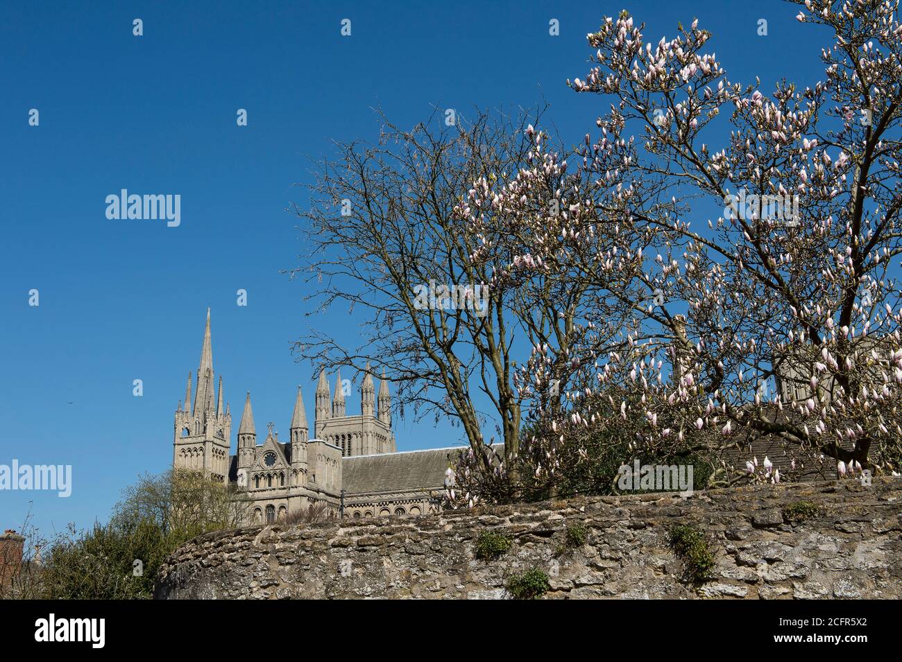 Peterborough Cathedral, Cambridgeshire, England Stock Photo - Alamy