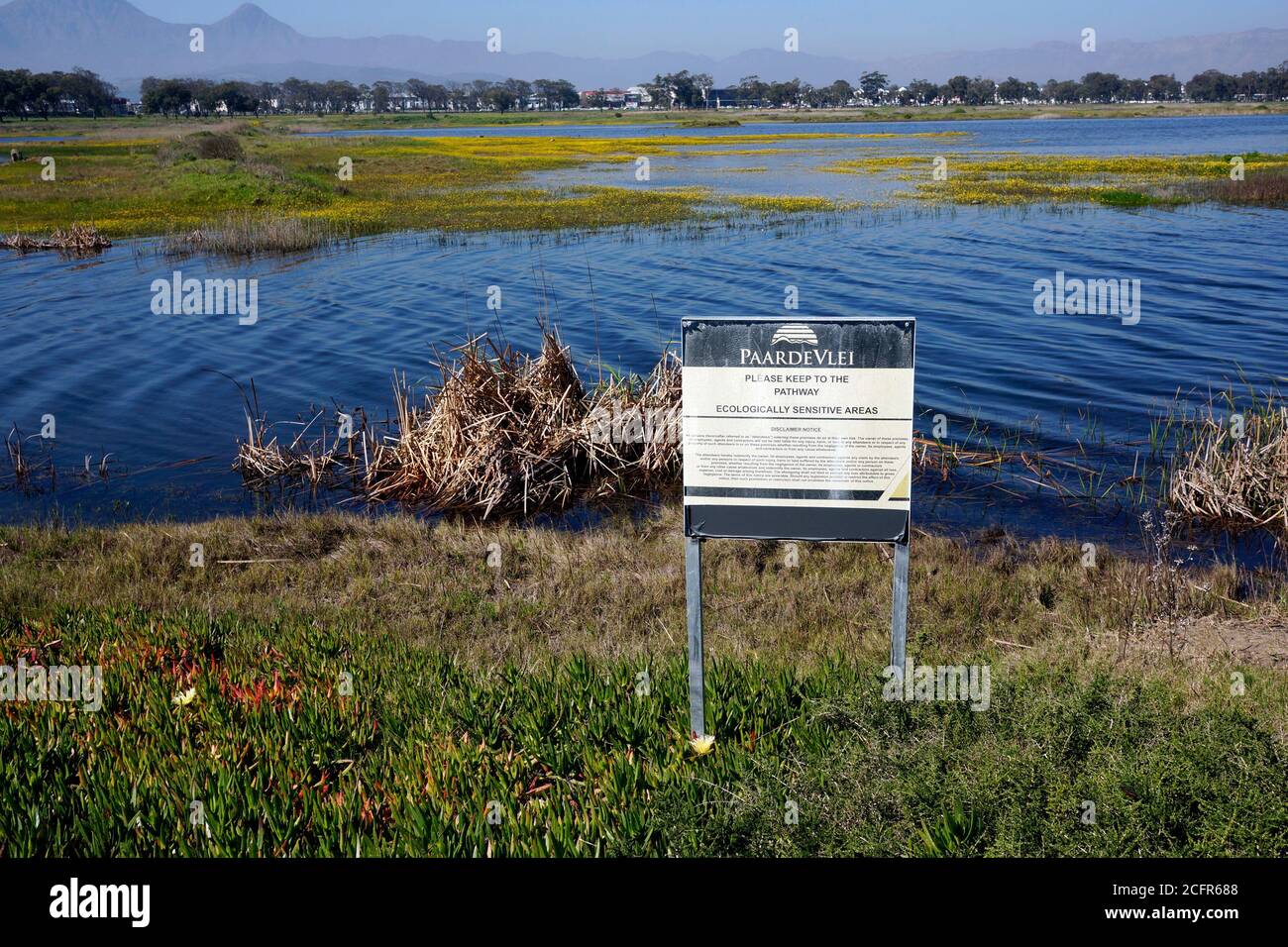 Paardevlei, Somerset West, Helderberg, Western Cape Province, South Africa Stock Photo Alamy
