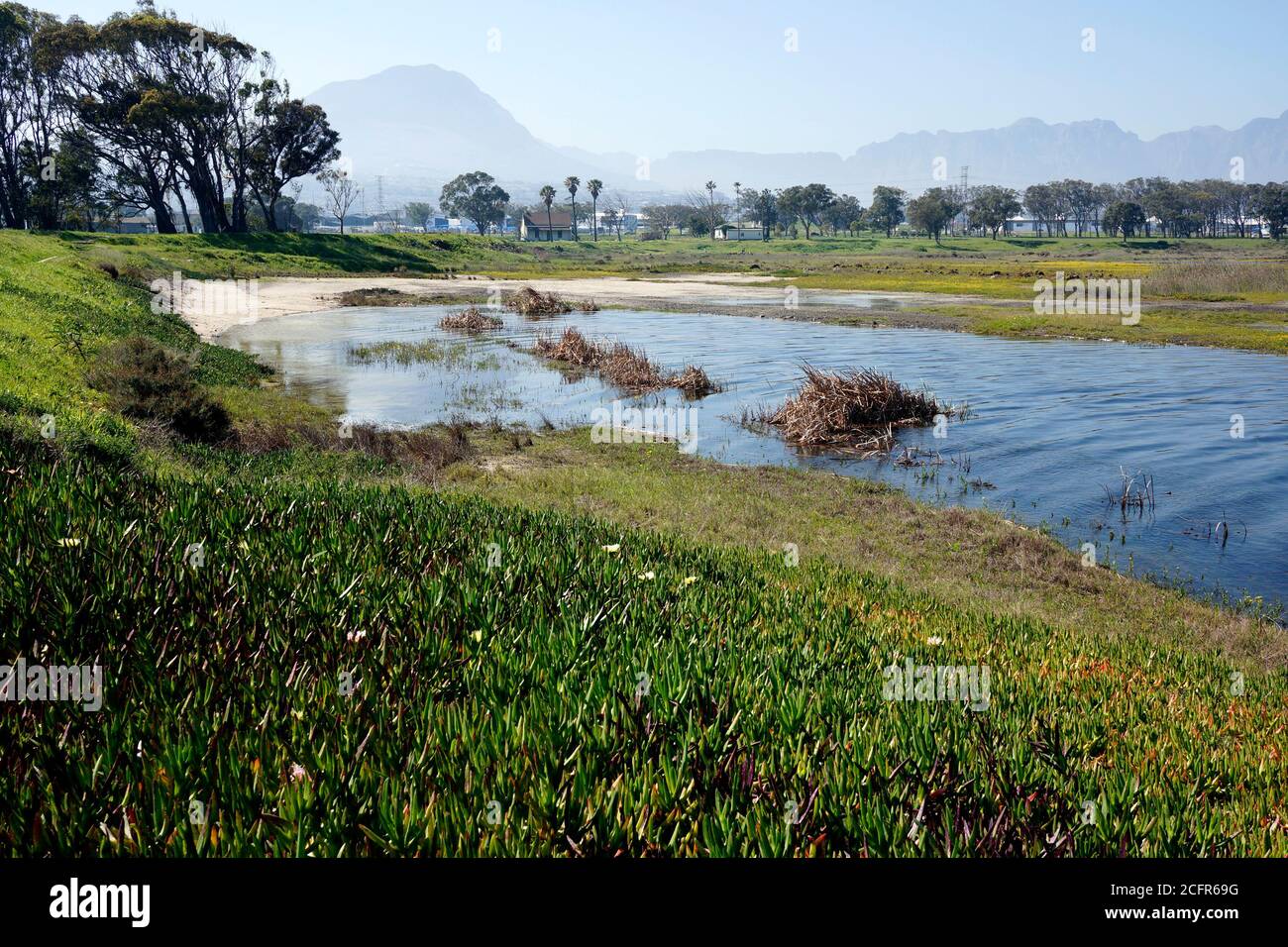 Paardevlei, Somerset West, Helderberg, Western Cape Province, South Africa Stock Photo Alamy
