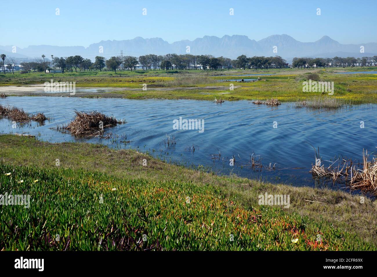 Paardevlei dam hires stock photography and images Alamy
