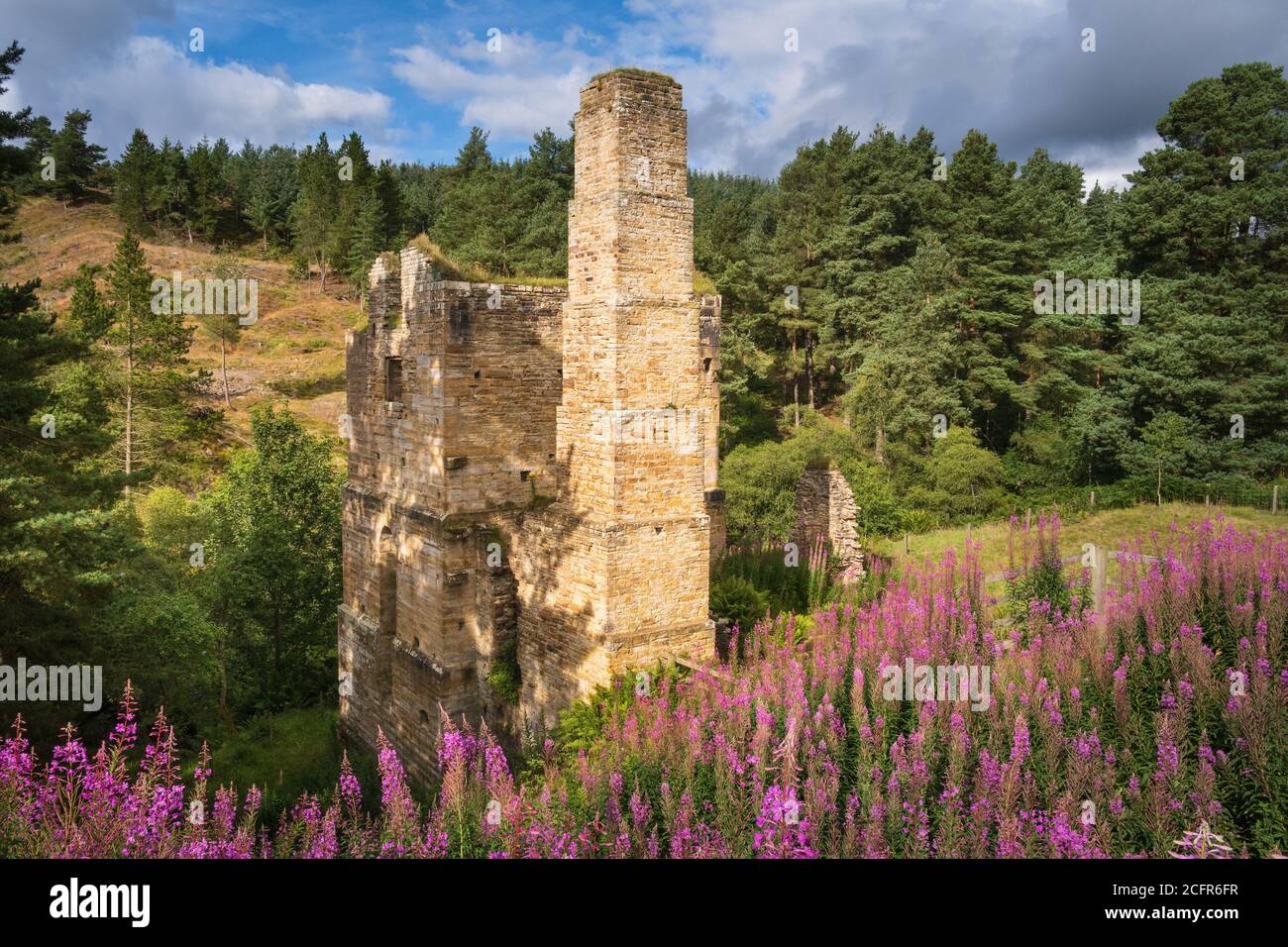 Shildon Engine House for a Cornish pumping engine now an industrial ruin in Blanchland Northumberland & relic of the 19th Century lead mining industry Stock Photo