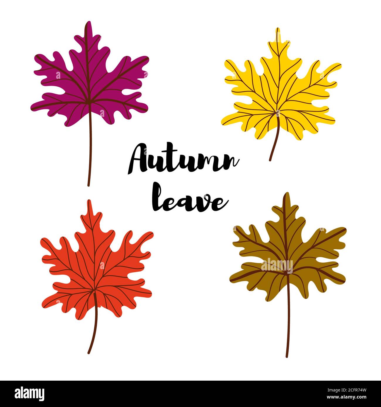 Set of autumn maple leaves isolated on a white background Stock Photo ...