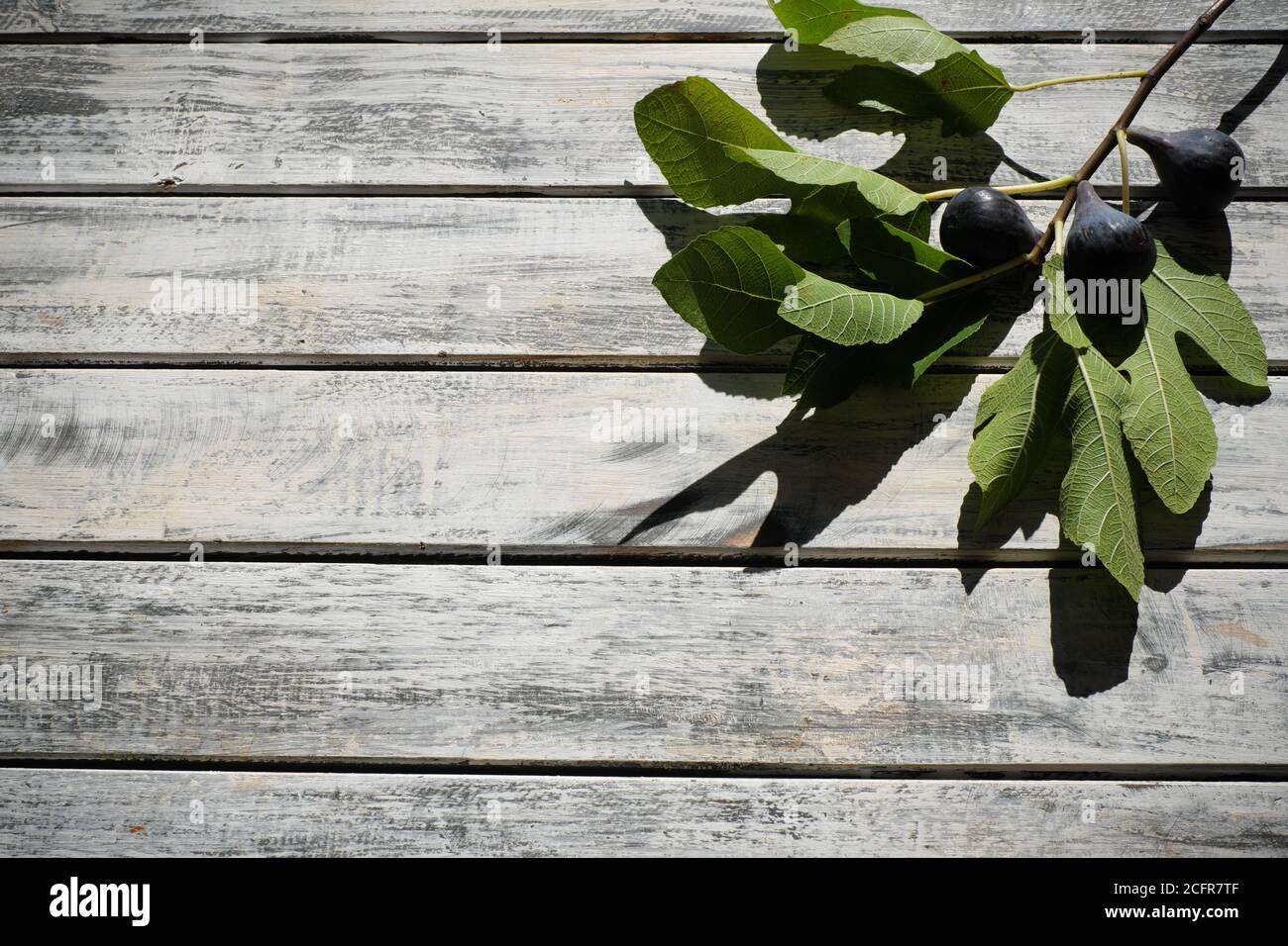 ripe figs nicely arranged on a white shabby chic wooden table with fig ...