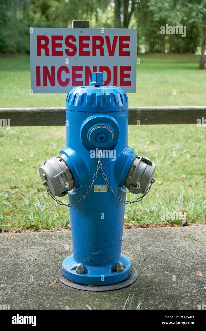 Blue coloured french fire hydrant in a garden setting Stock Photo