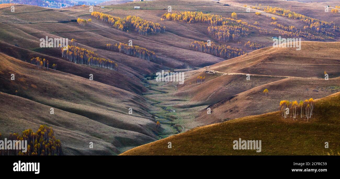 Beautiful autumn landscape with colorful trees Stock Photo - Alamy