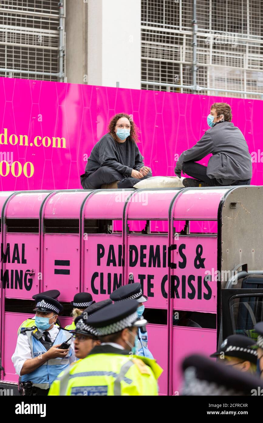 Animal Rebellion road block with slaughterhouse truck outside Department of Health and Social Care, London, 3 September 2020 Stock Photo