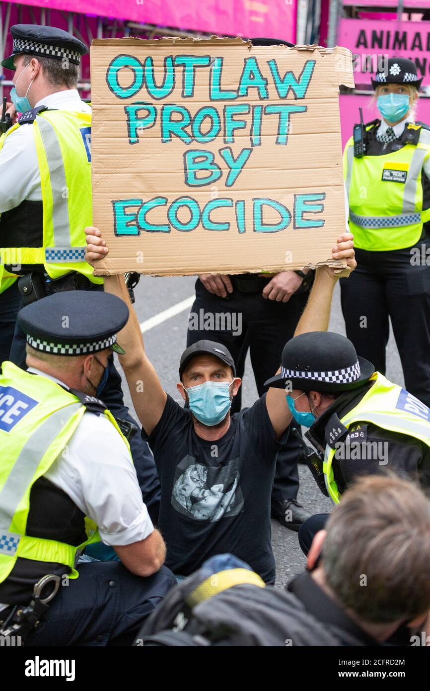 Protester with sign at Animal Rebellion road block outside Department of Health and Social Care, London, 3 September 2020 Stock Photo