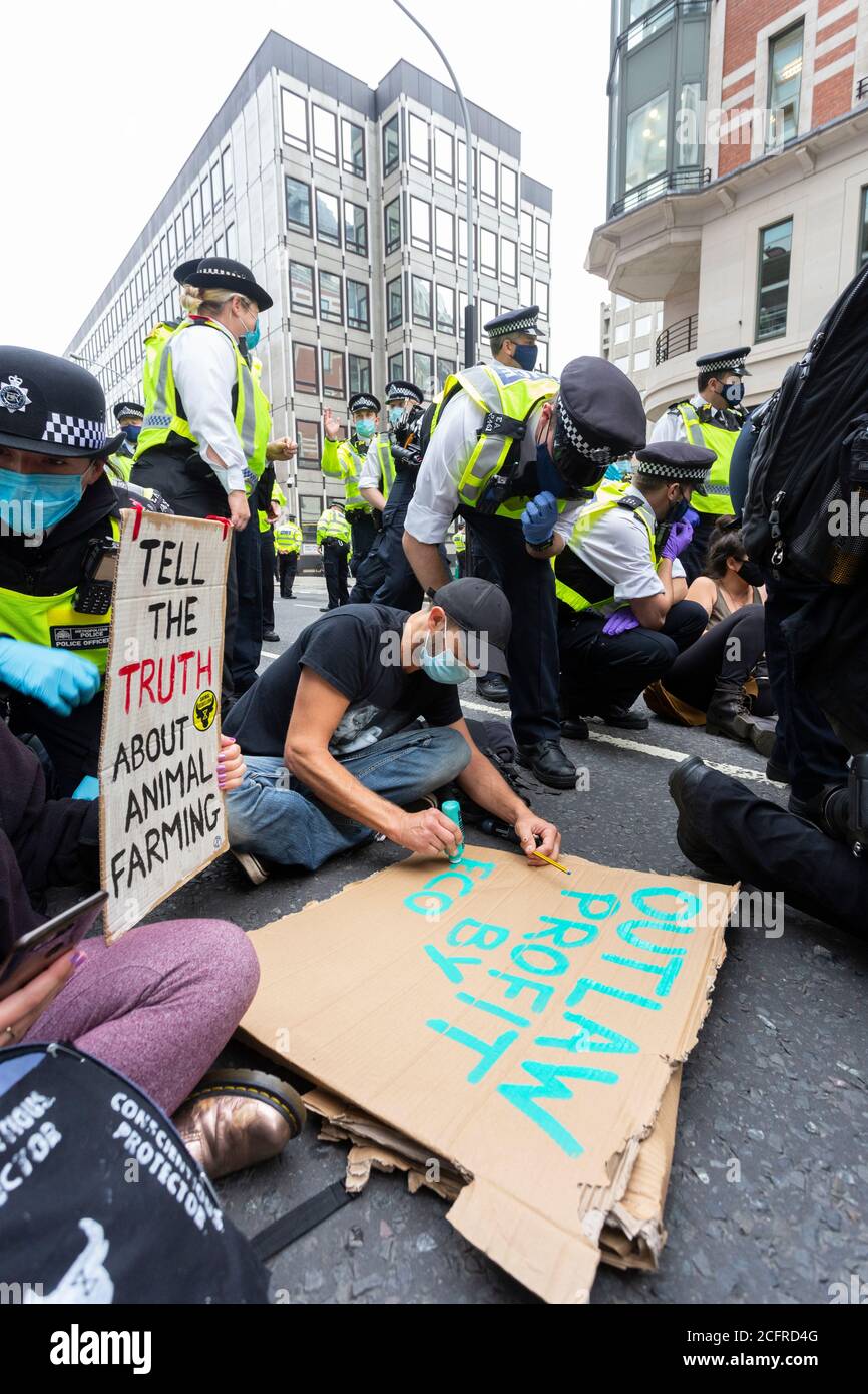 Protester writing placard at Animal Rebellion road block outside Department of Health and Social Care, London, 3 September 2020 Stock Photo