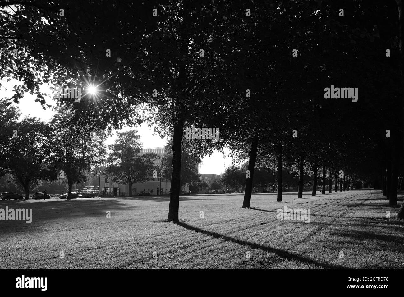 An empty Glasgow Green autumnal light in black and white. Glasgow, Scotland Stock Photo