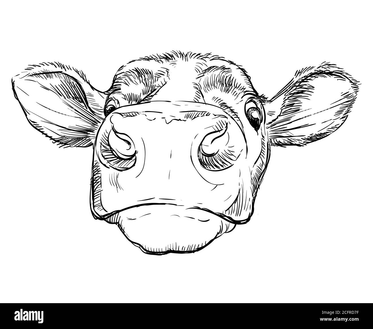Illustration with cow skull. Stock Vector by ©rednex 92654910