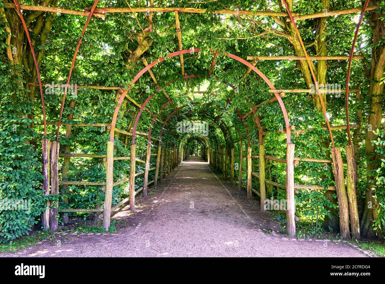 Entrance to a green garden tunnel made of climbing plants Stock Photo