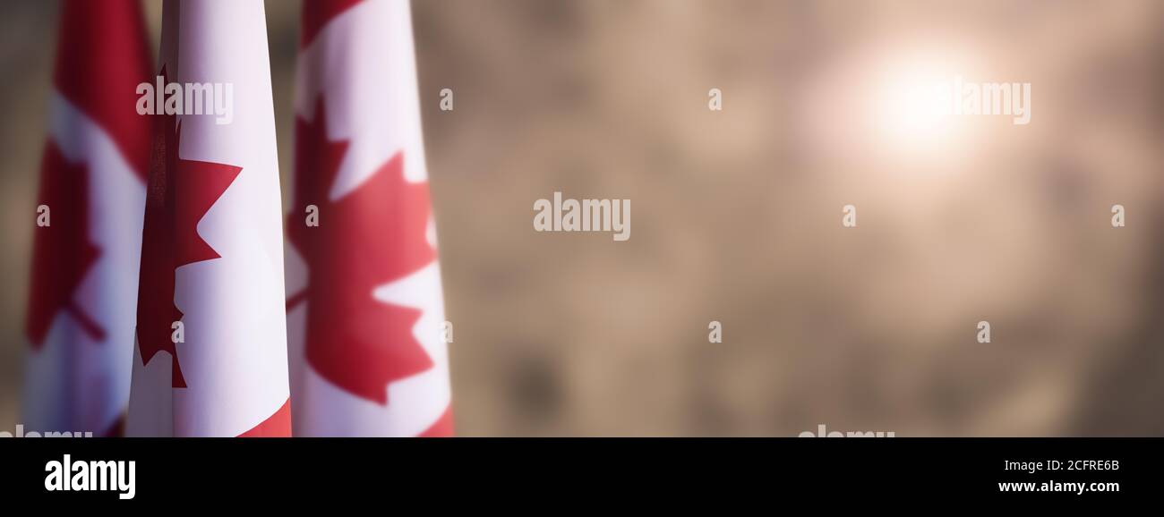 Canadian National Holiday. 1 July. Happy Canada Day greeting card