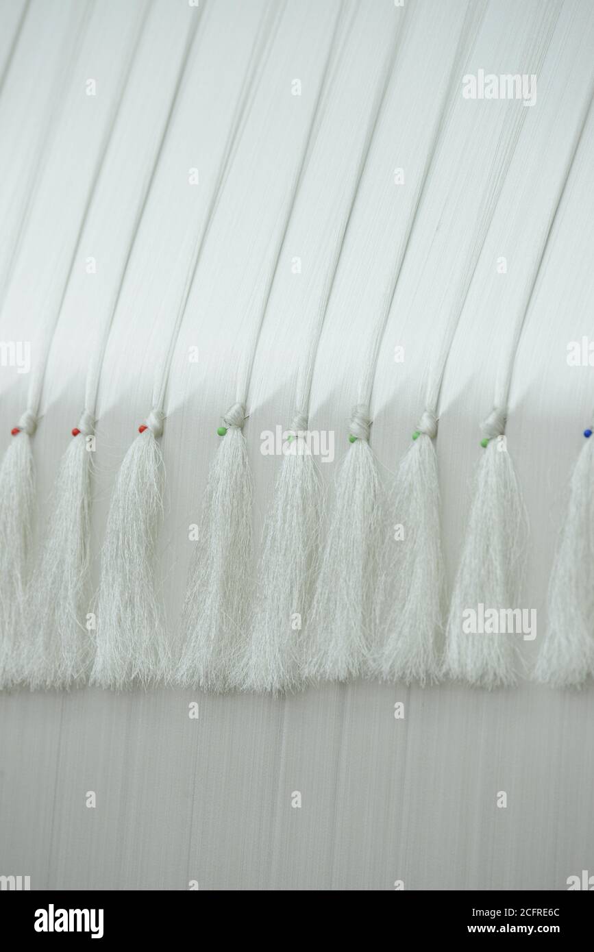 Lyon (central-eastern France): Prelle, a family-owned silk textile mill Stock Photo