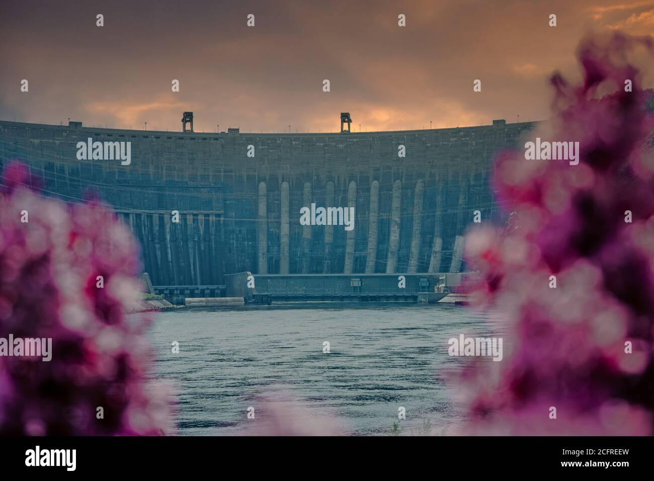 The dam of the Sayano-Shushenskaya hydroelectric power plant among lilac bushes. Stock Photo