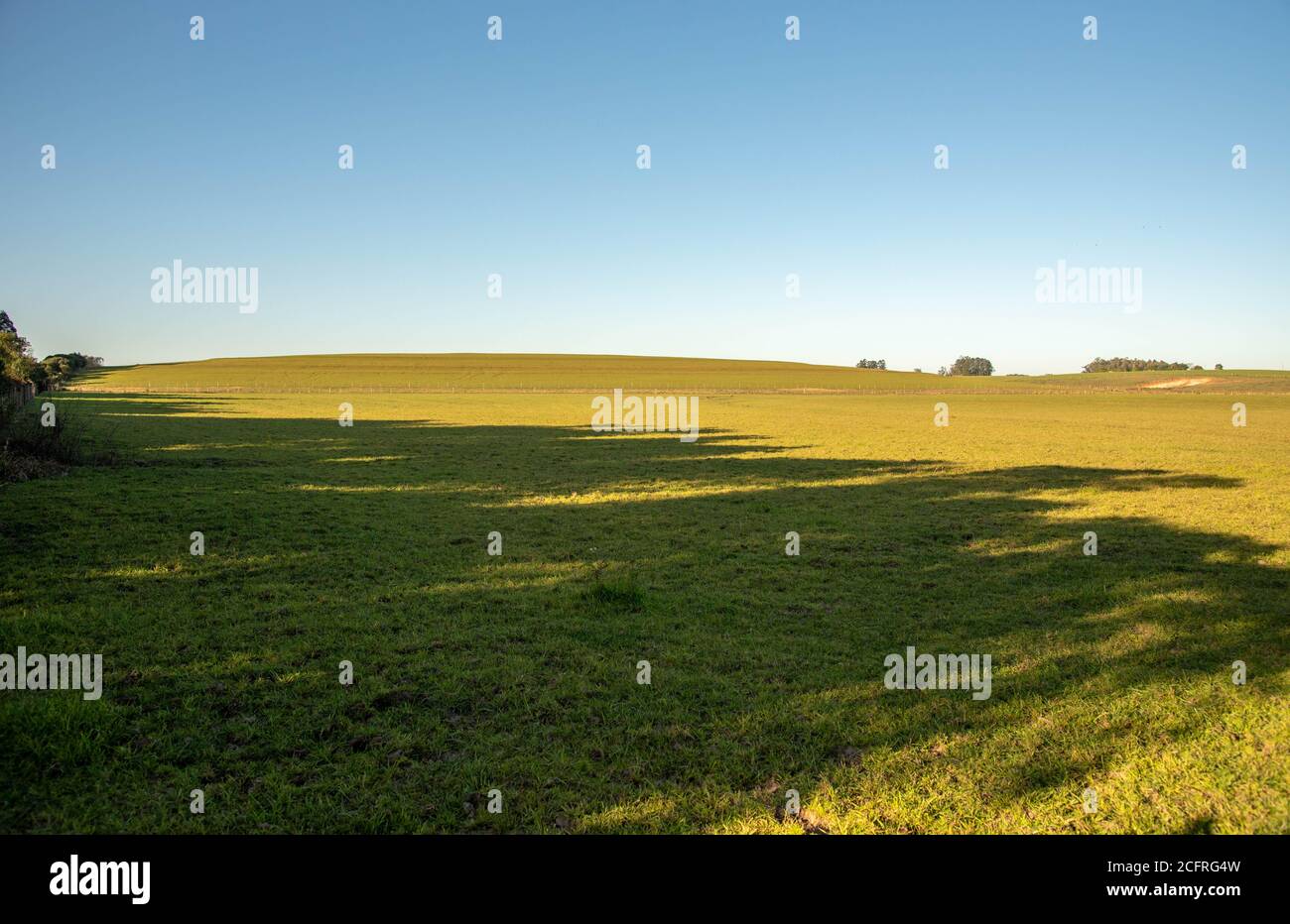 Farm fields in southern Brazil. cattle breeding area. Pasture fields. Small cattle ranching property. Rural landscape. Stock Photo