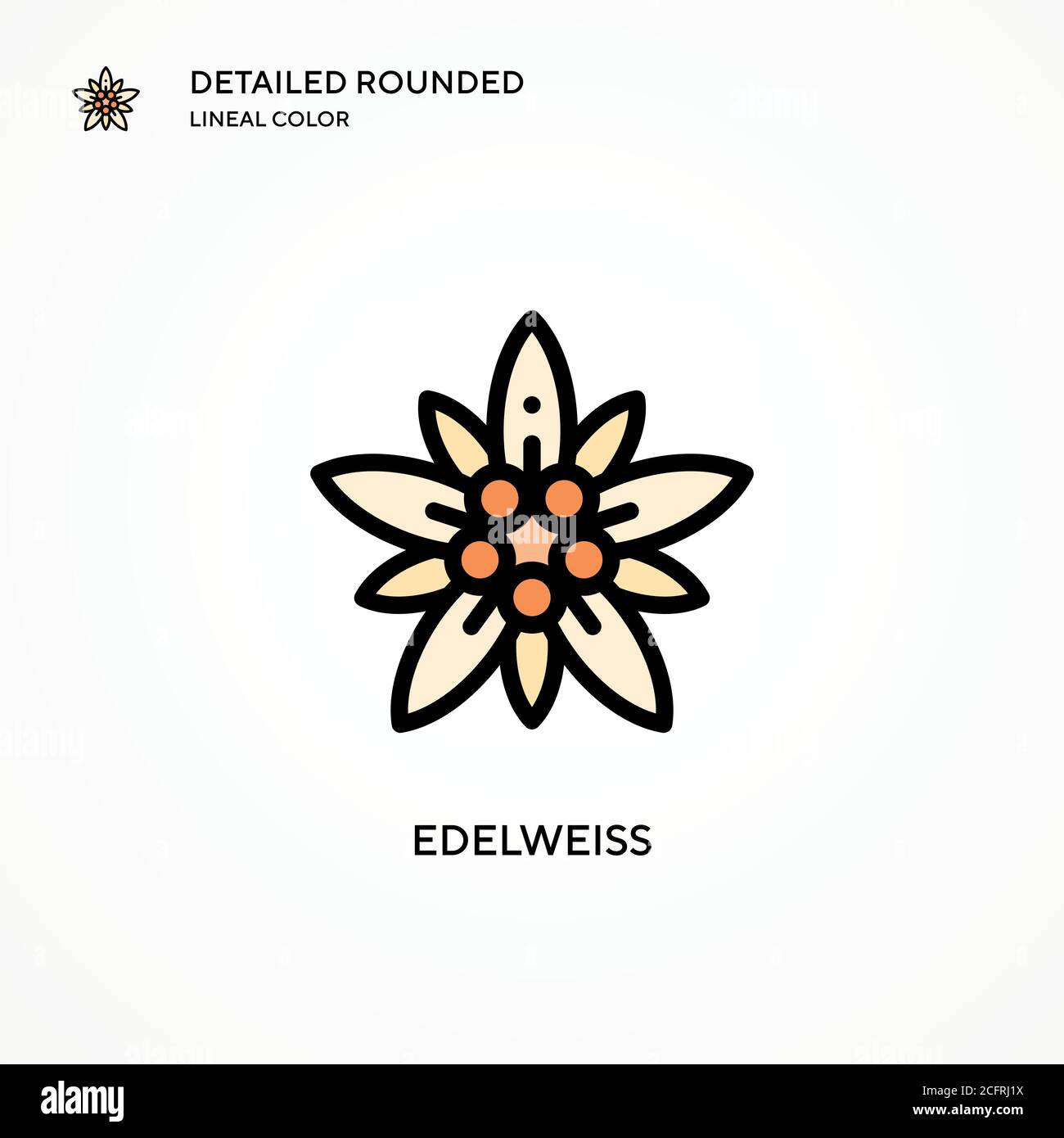 Edelweiss vector icon. Modern vector illustration concepts. Easy to edit and customize. Stock Vector