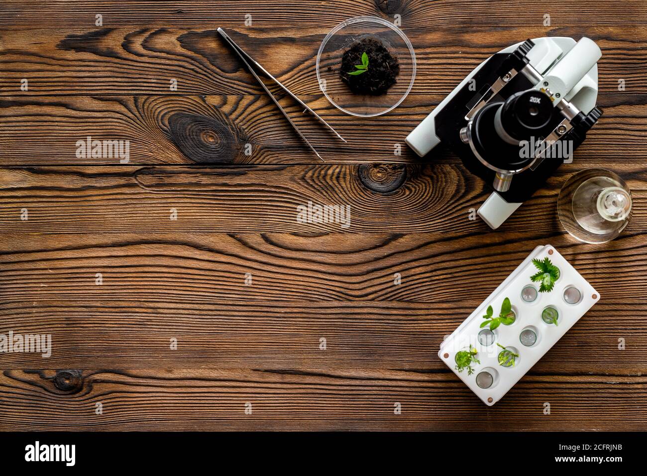 Lab Microscope Top View Plants with microscope in scientific laboratory. Top view Stock Photo ...