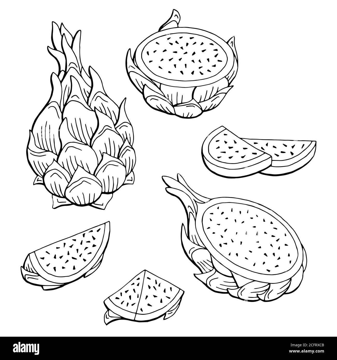 Dragon fruit coloring pages